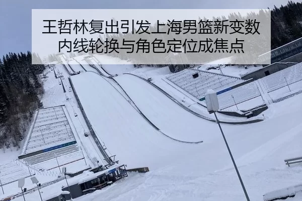 wang-zhe-lin-fu-chu-yin-fa-shang-hai-nan-lan-xin-bian-shu-nei-xian-lun-huan-yu-jue-se-ding-wei-cheng-jiao-dian-2-101.jpg